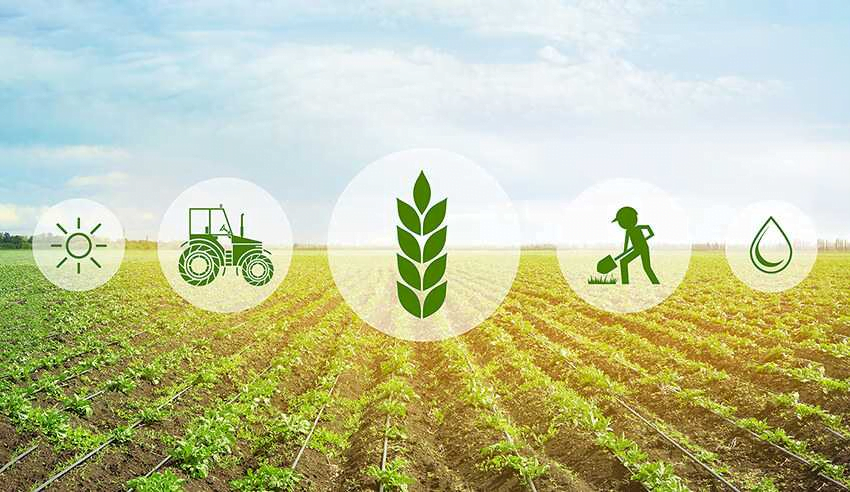 Agriculture, Allied & Rural Core Agriculture & Agribusiness